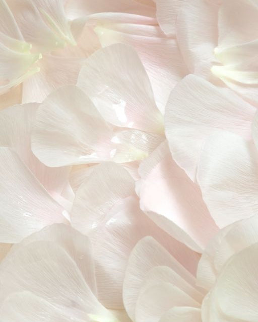 Méditation collective - Replay du 21/10/25